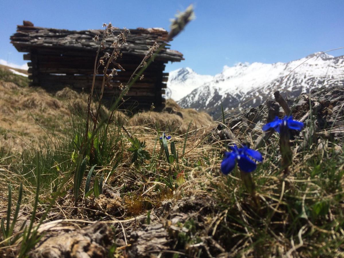 Hotel Capetta Avers Kültér fotó