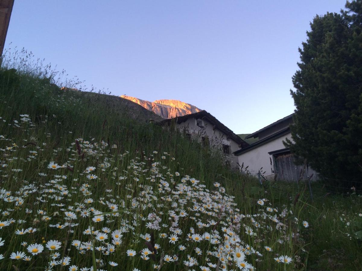 Hotel Capetta Avers Kültér fotó